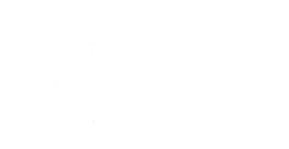 Homo-Systemix-Francois-Zille